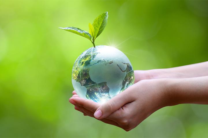 hands holding a glass globe with a plant sprouting out of it