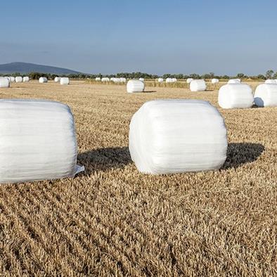 An image of rolled hay wrapped in white plastic in a field.